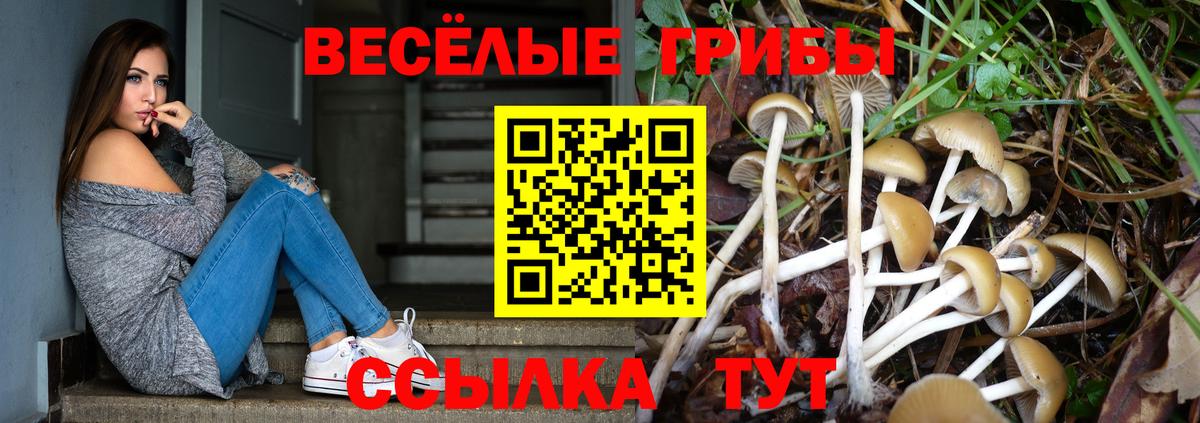 Псилоцибиновые грибы мухоморы  Вход с VPN  Казань  Галлюциногенные грибы Psilocybine cubensis 